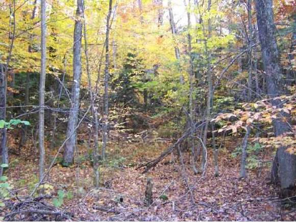 Lot 43 Valley Road Tuftonboro, NH 03816 - Photo 1 of 9 Gallery Image 1
