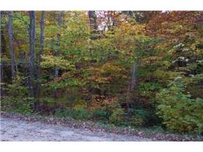 Lot 43 Valley Road Tuftonboro, NH 03816 - Photo 2 of 9 Gallery Image 2