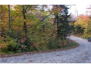 Lot 43 Valley Road Tuftonboro, NH 03816 - Photo 4 of 9 Gallery Image 4