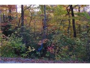 Lot 43 Valley Road Tuftonboro, NH 03816 - Photo 5 of 9 Gallery Image 5