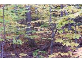 Lot 43 Valley Road Tuftonboro, NH 03816 - Photo 6 of 9 Gallery Image 6