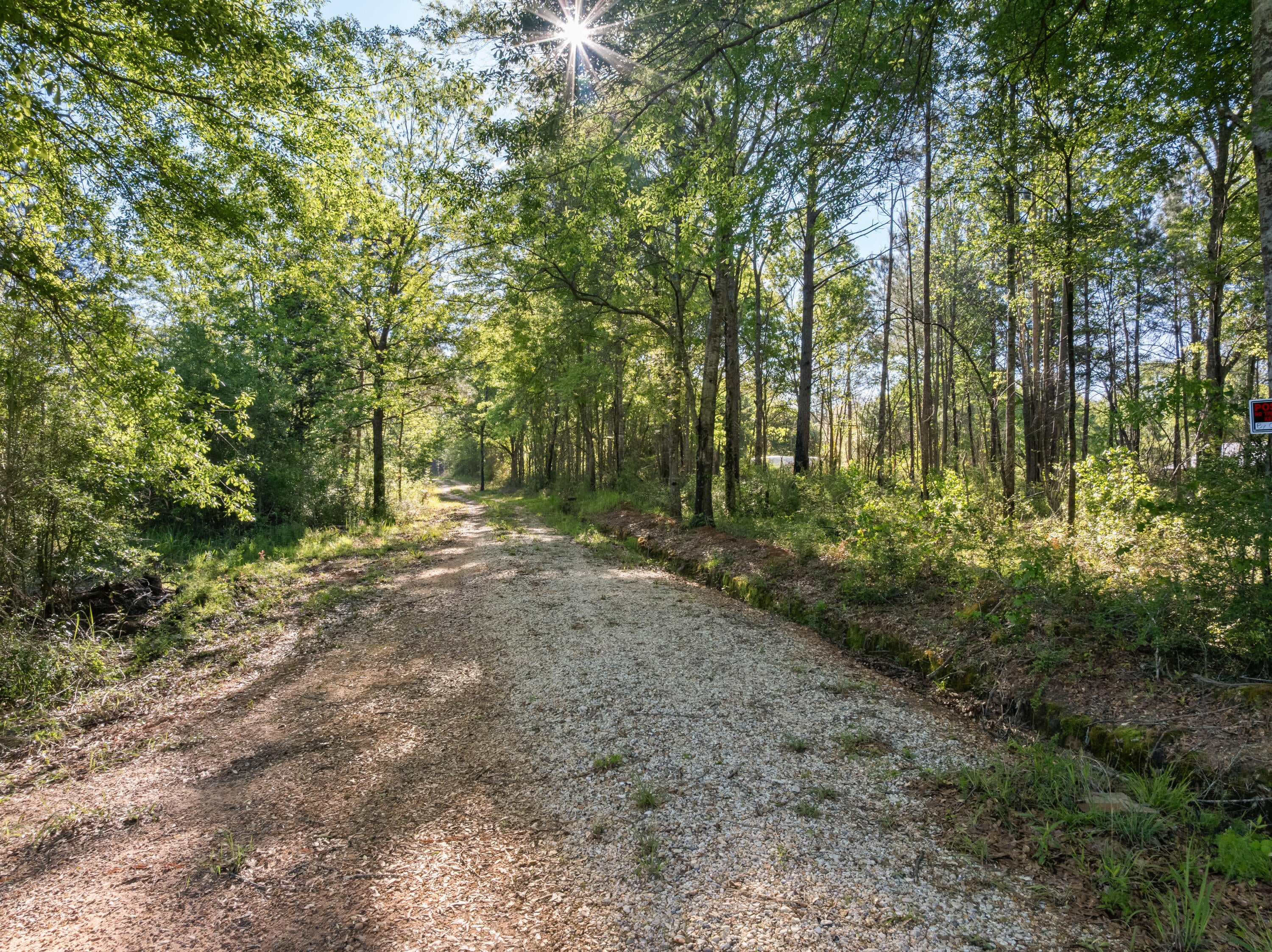 503 Courtney Road Purvis, MS 39475 - Photo 5 of 17 Gallery Image 5