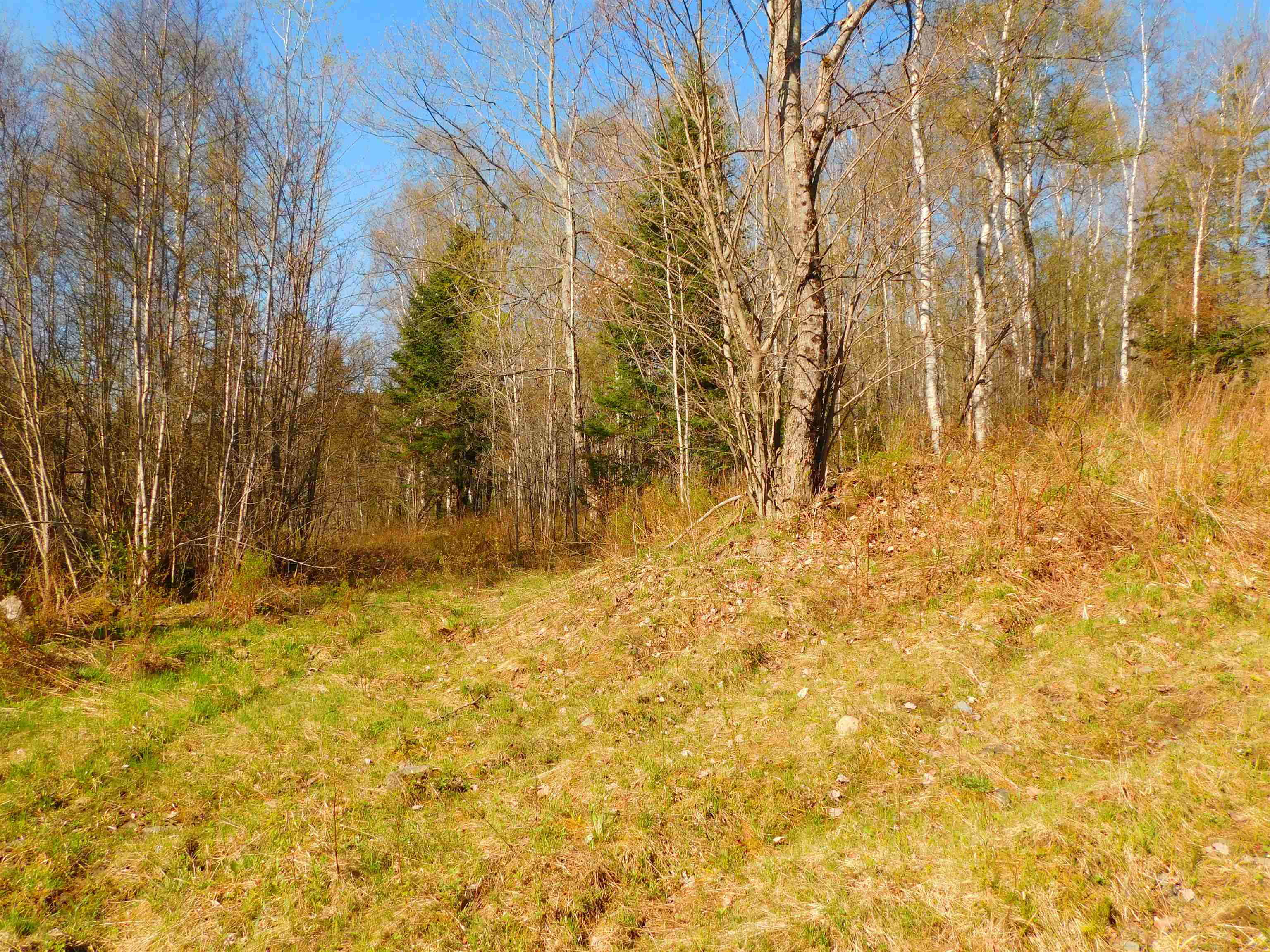0 Piper Hill Road Colebrook, NH 03576 - Photo 11 of 21