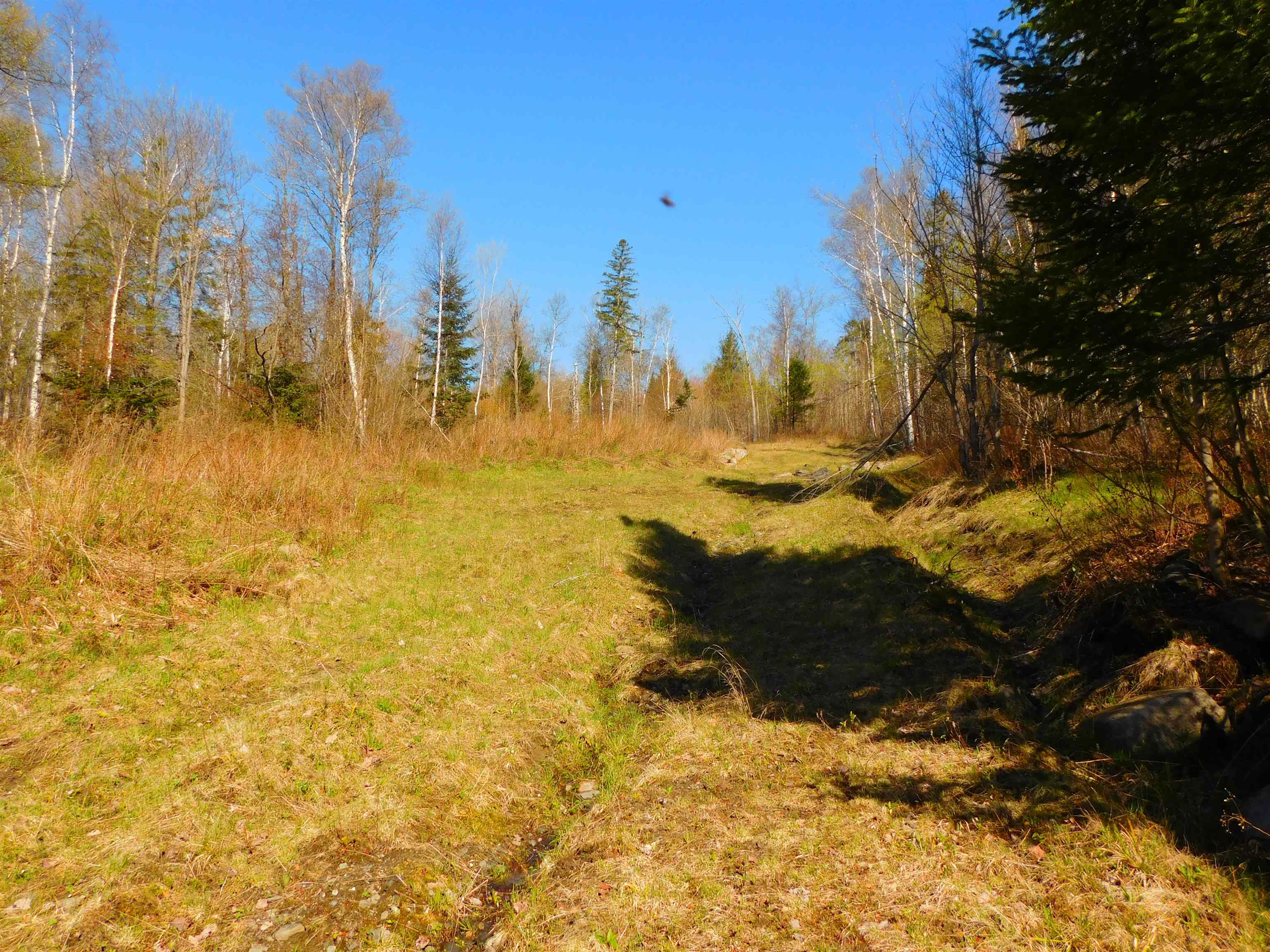 0 Piper Hill Road Colebrook, NH 03576 - Photo 12 of 21