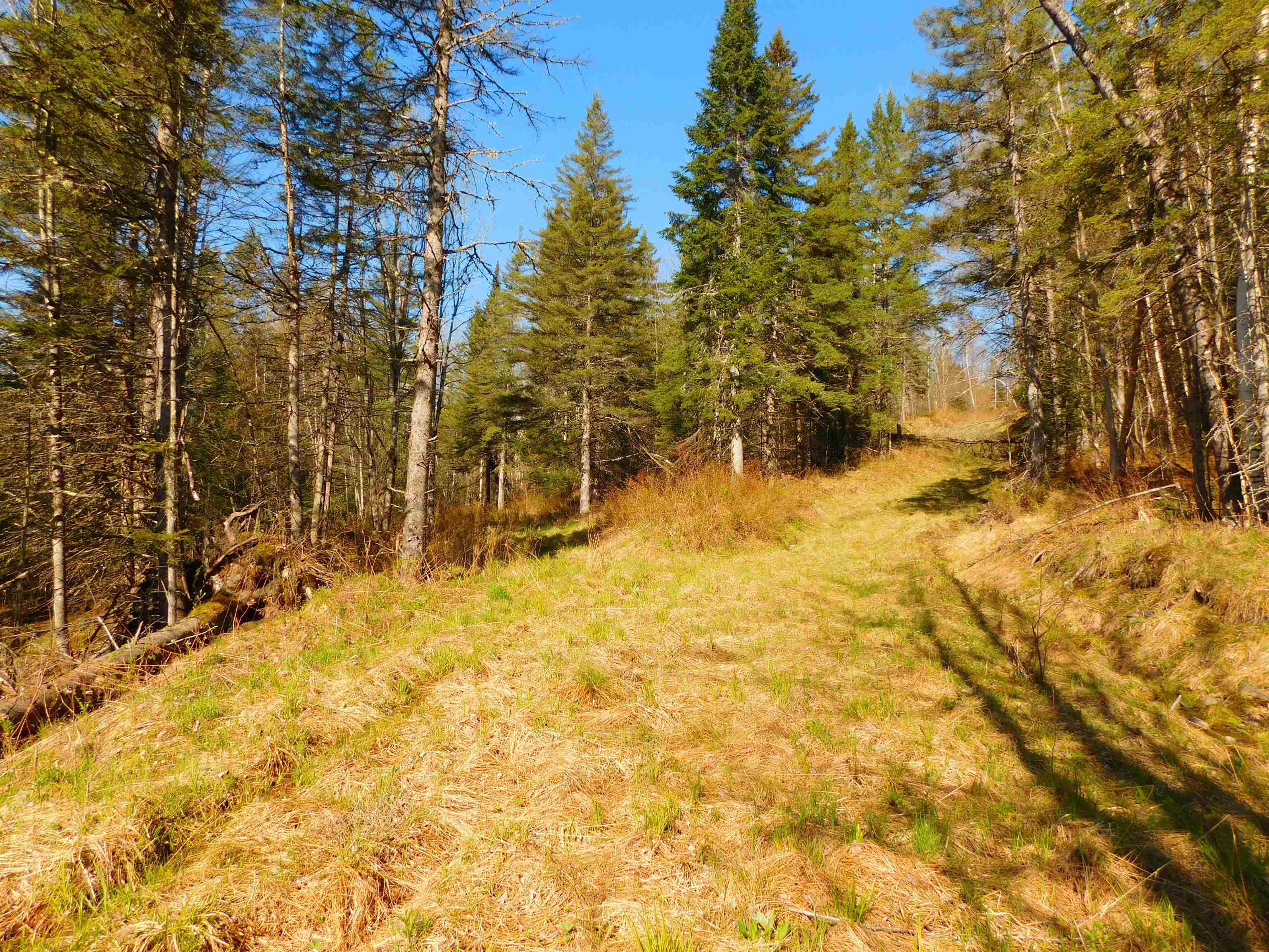 0 Piper Hill Road Colebrook, NH 03576 - Photo 17 of 21