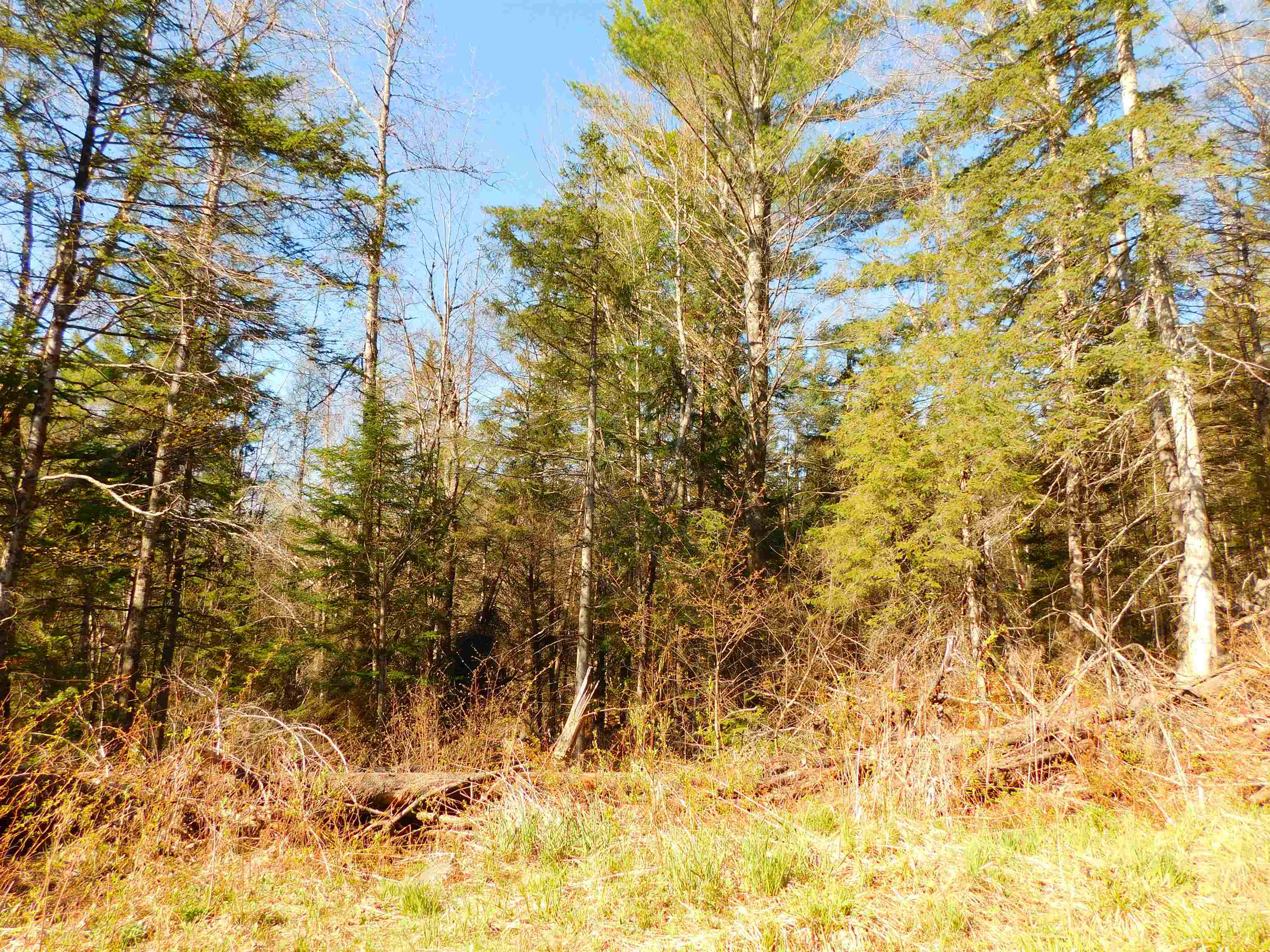 0 Piper Hill Road Colebrook, NH 03576 - Photo 18 of 21