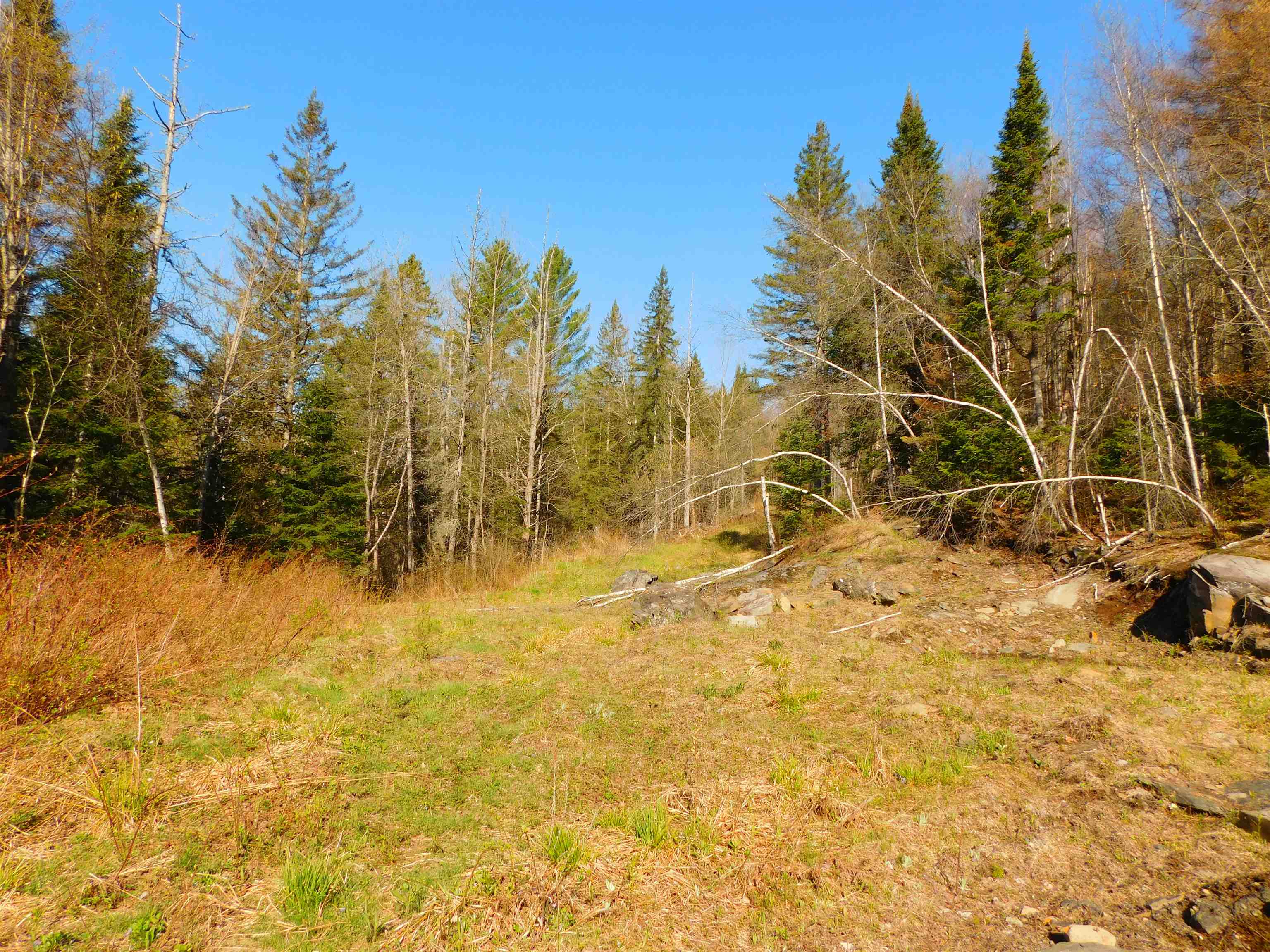 0 Piper Hill Road Colebrook, NH 03576 - Photo 21 of 21