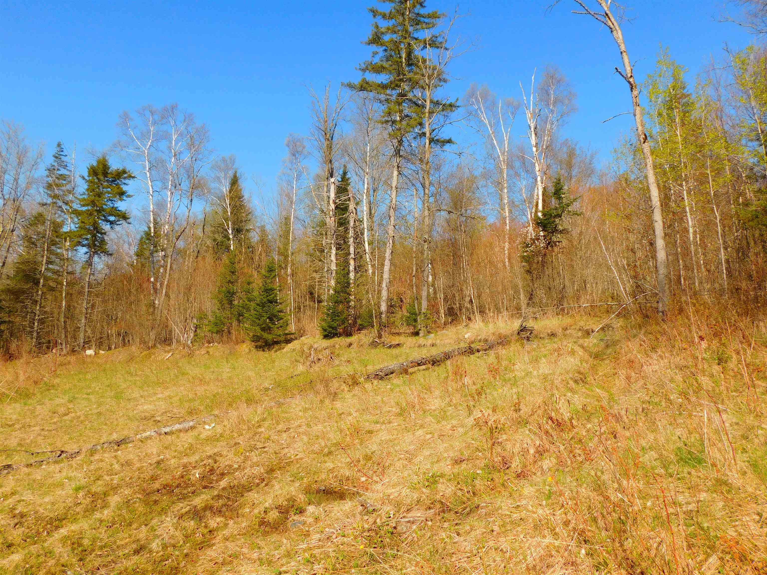 0 Piper Hill Road Colebrook, NH 03576 - Photo 9 of 21