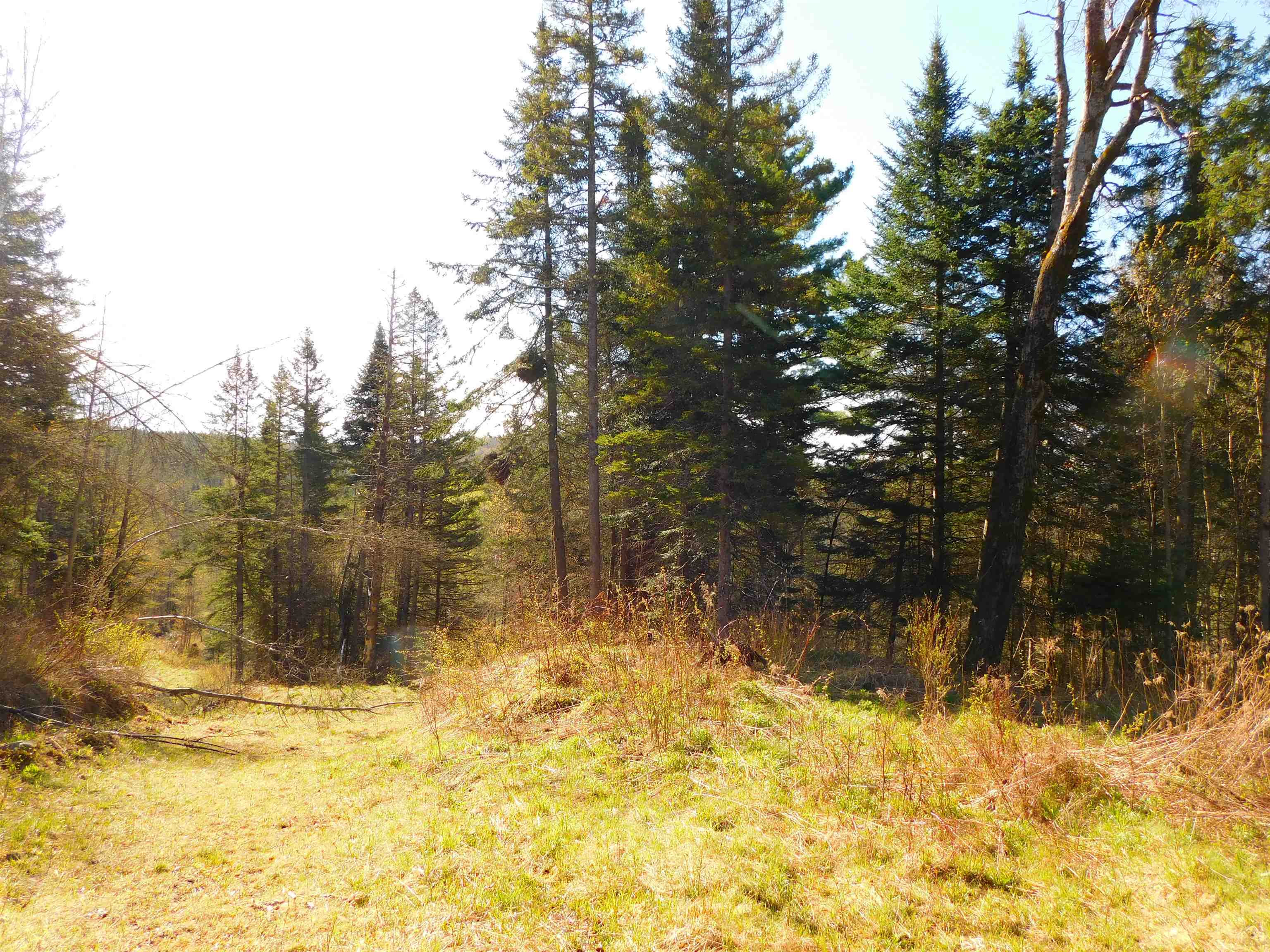 0 Piper Hill Road Colebrook, NH 03576 - Photo 10 of 21