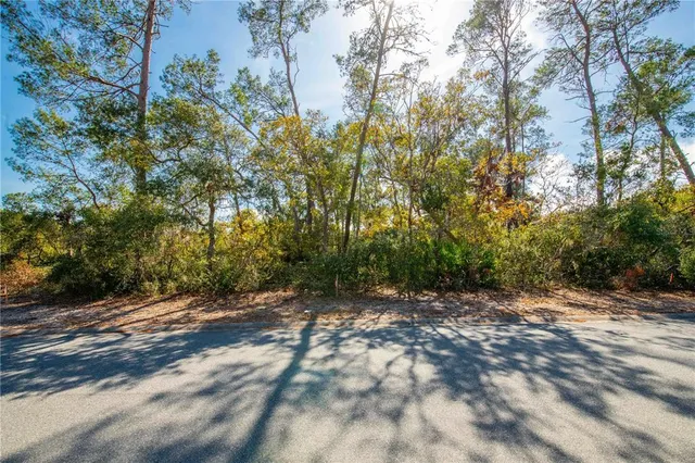 $78,000 | 7262 Hidden Cove Court, Spring Hill, FL 34607