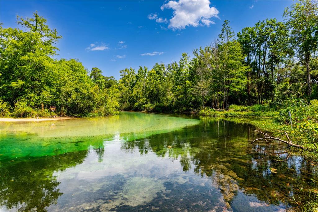 7262 Hidden Cove Court Spring Hill, FL 34607 - Photo 17 of 21