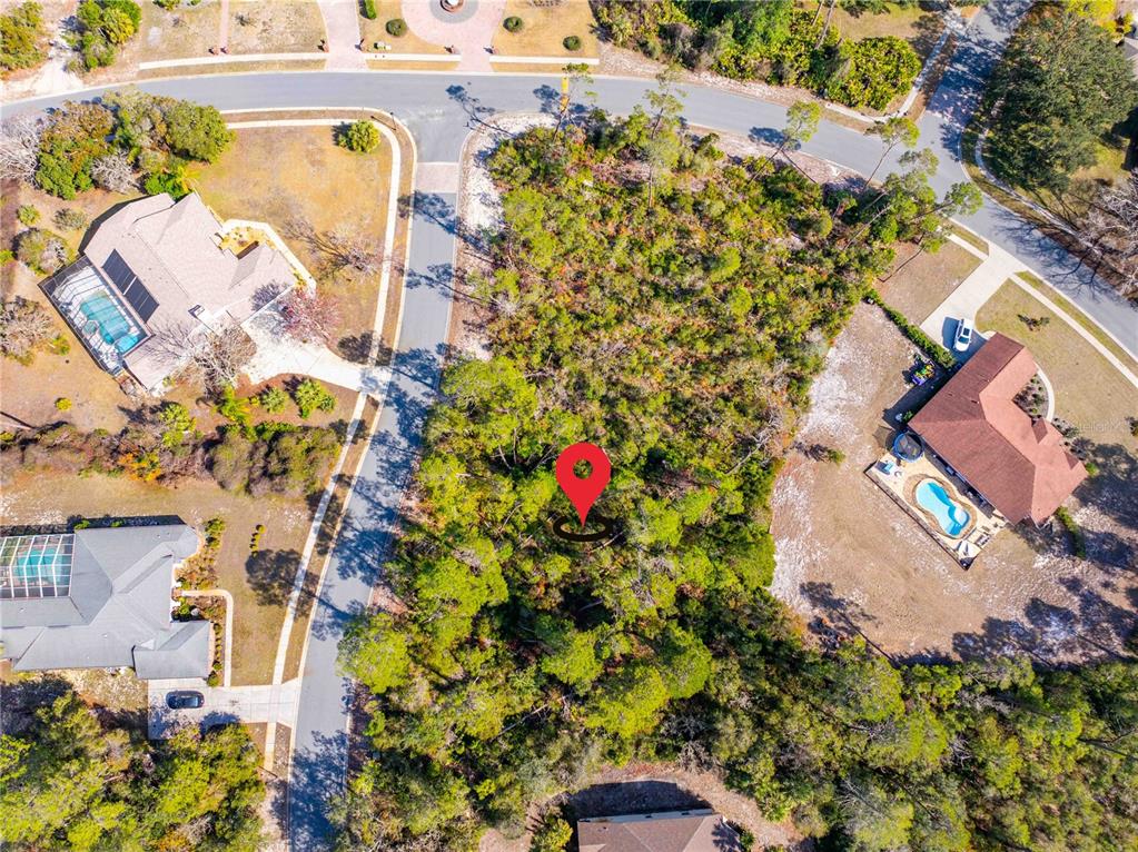 7262 Hidden Cove Court Spring Hill, FL 34607 - Photo 5 of 21