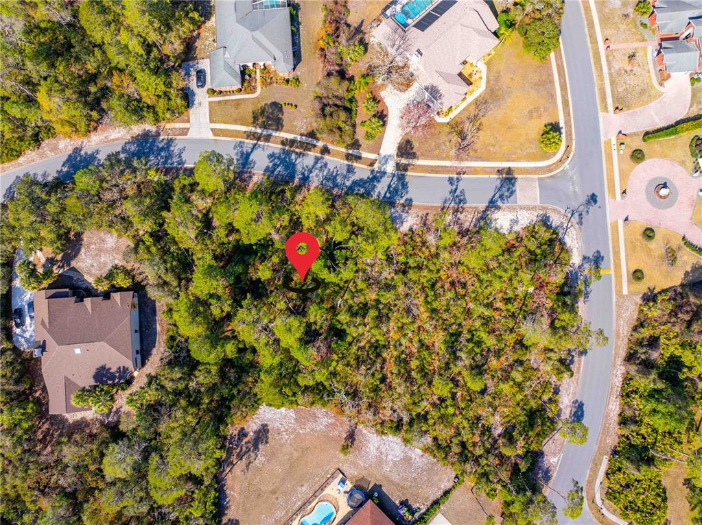 7262 Hidden Cove Court Spring Hill, FL 34607 - Photo 7 of 21