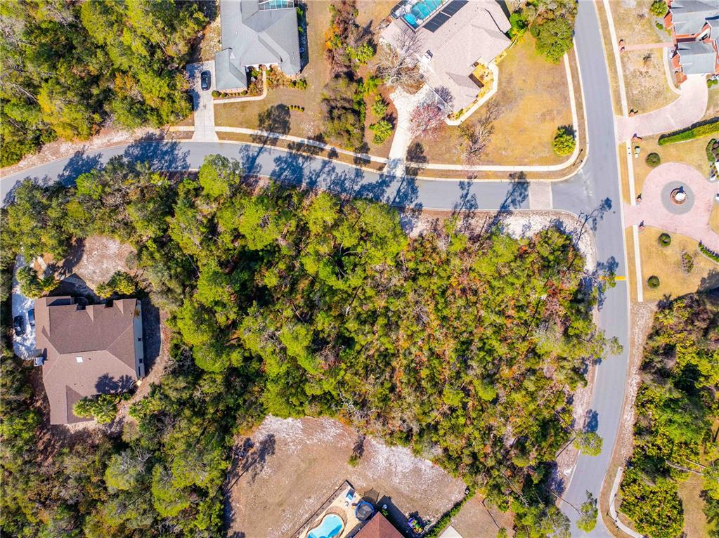 7262 Hidden Cove Court Spring Hill, FL 34607 - Photo 8 of 21