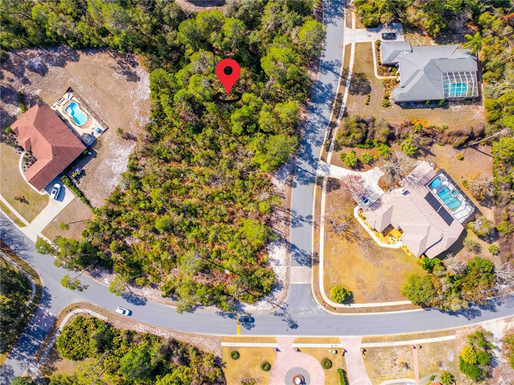 7262 Hidden Cove Court Spring Hill, FL 34607 - Photo 9 of 21