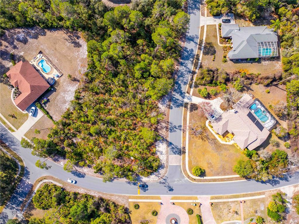 7262 Hidden Cove Court Spring Hill, FL 34607 - Photo 10 of 21