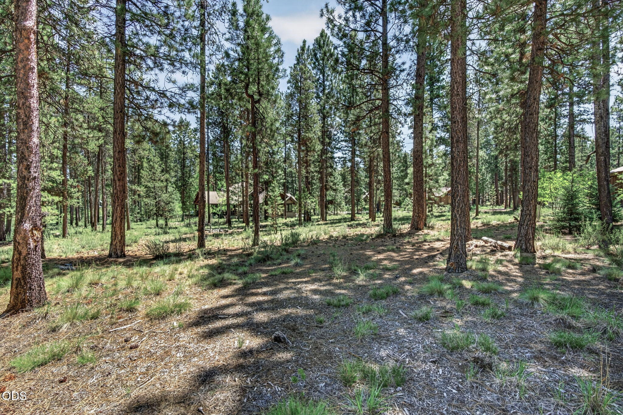 56288 Trailmere Circle Bend, OR 97707 - Photo 4 of 31