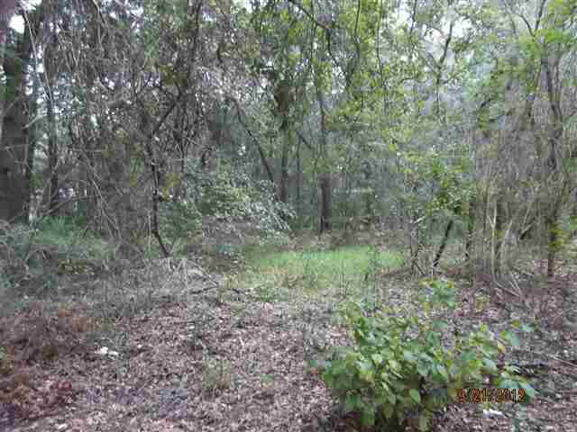 11068 Forest Street Perry, FL 32348 - Photo 1 of 1 Gallery Image 1