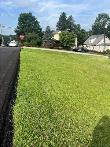 a view of a green field with some trees