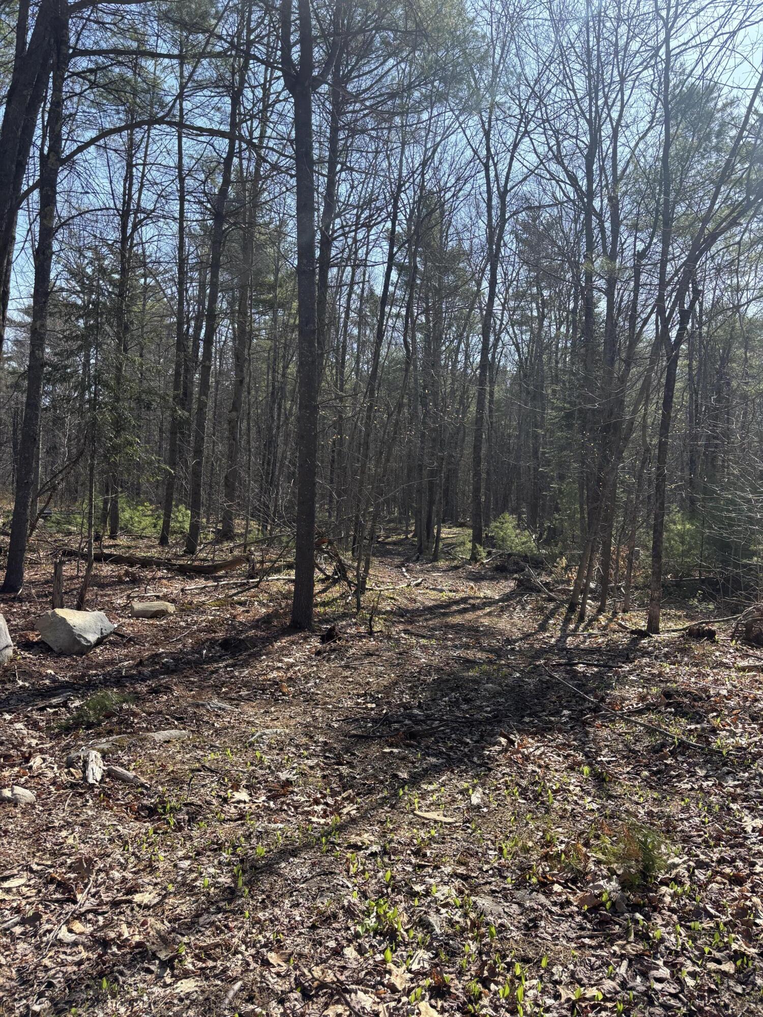 Lot 88 Bolton Hill Road Augusta, ME 04330 - Photo 5 of 17