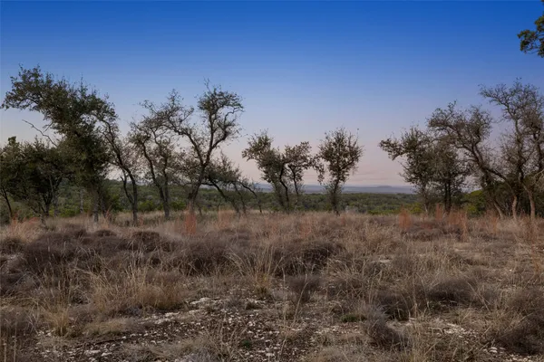 a view of a dry yard with trees