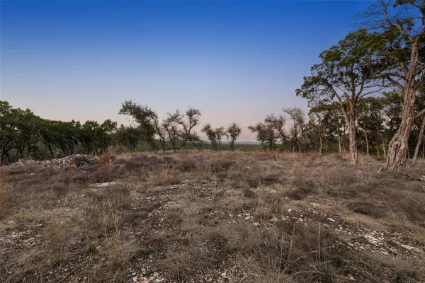 a view of a dry yard with trees