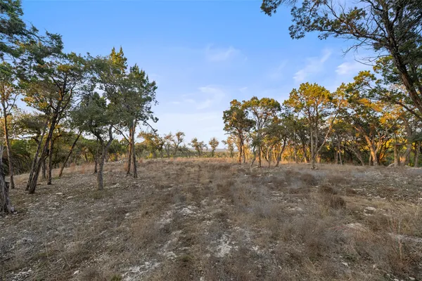 a view of dirt field with trees around