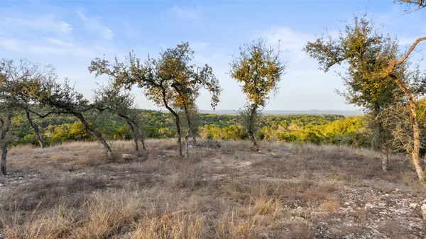 a view of a dry yard with trees