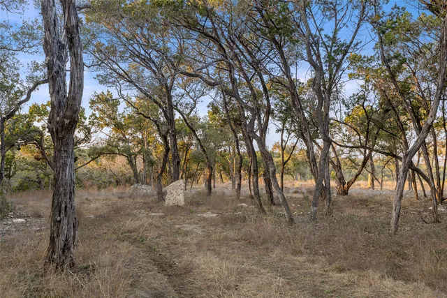a view of outdoor space with trees