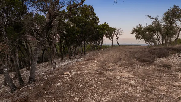 a view of a yard with trees