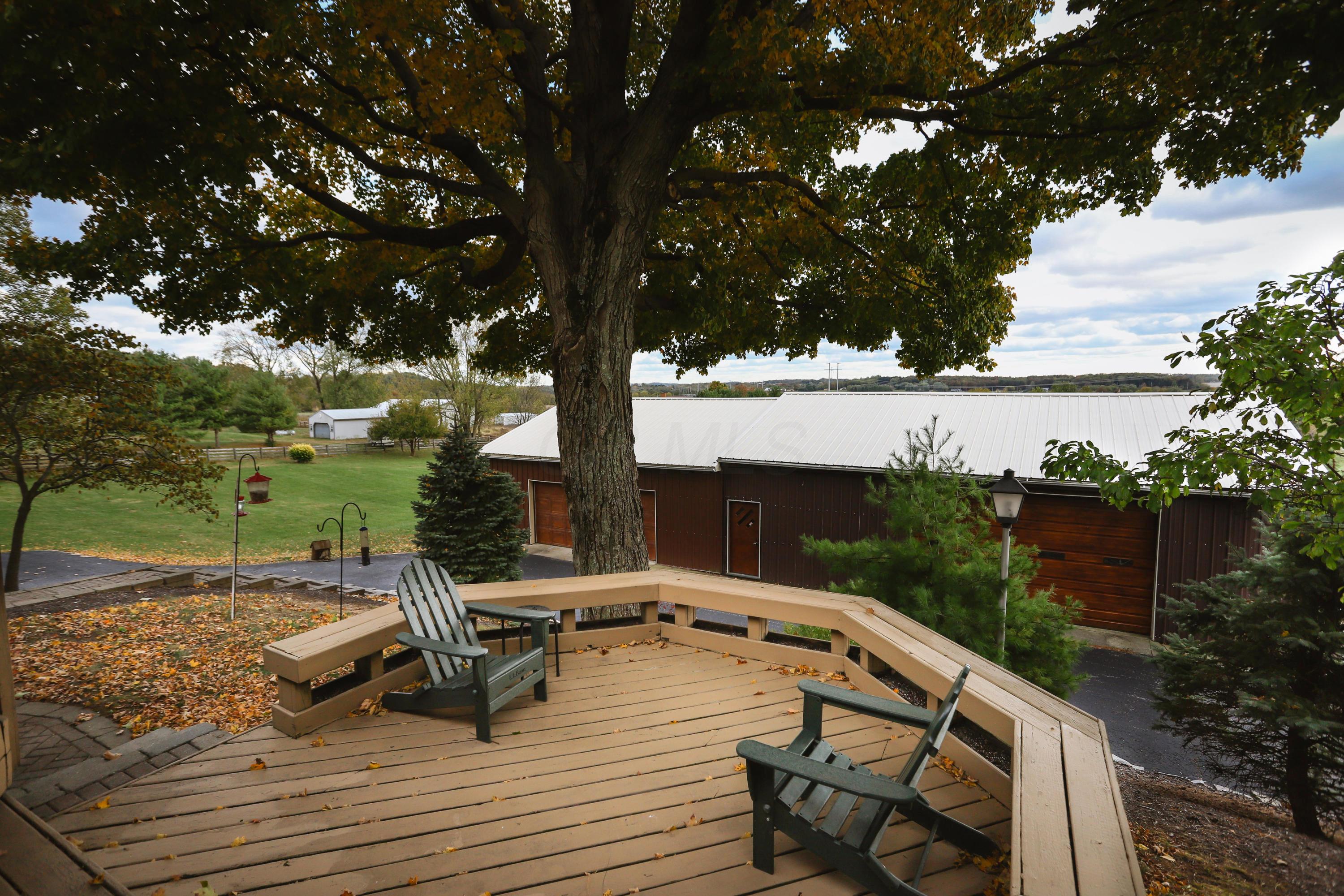 2480 Pickerington Road Carroll, OH 43112 - Photo 6 of 76