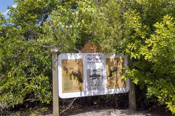 a view of a tree in front of house