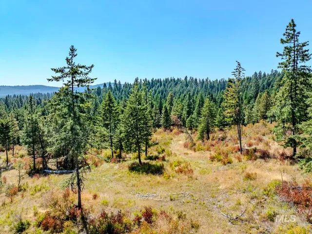 $219,000 | 1 Starview Lane, Princeton, ID 83857