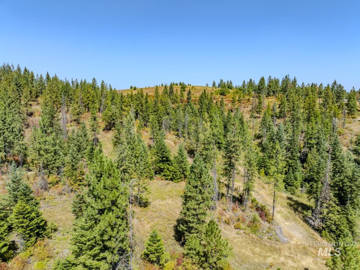 1 Starview Lane Princeton, ID 83857 - Photo 11 of 29