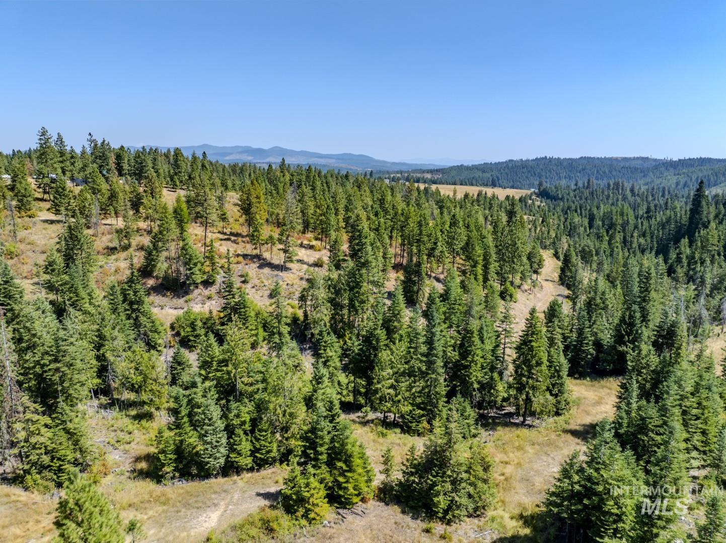 1 Starview Lane Princeton, ID 83857 - Photo 12 of 29