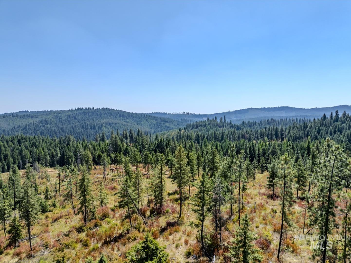 1 Starview Lane Princeton, ID 83857 - Photo 13 of 29