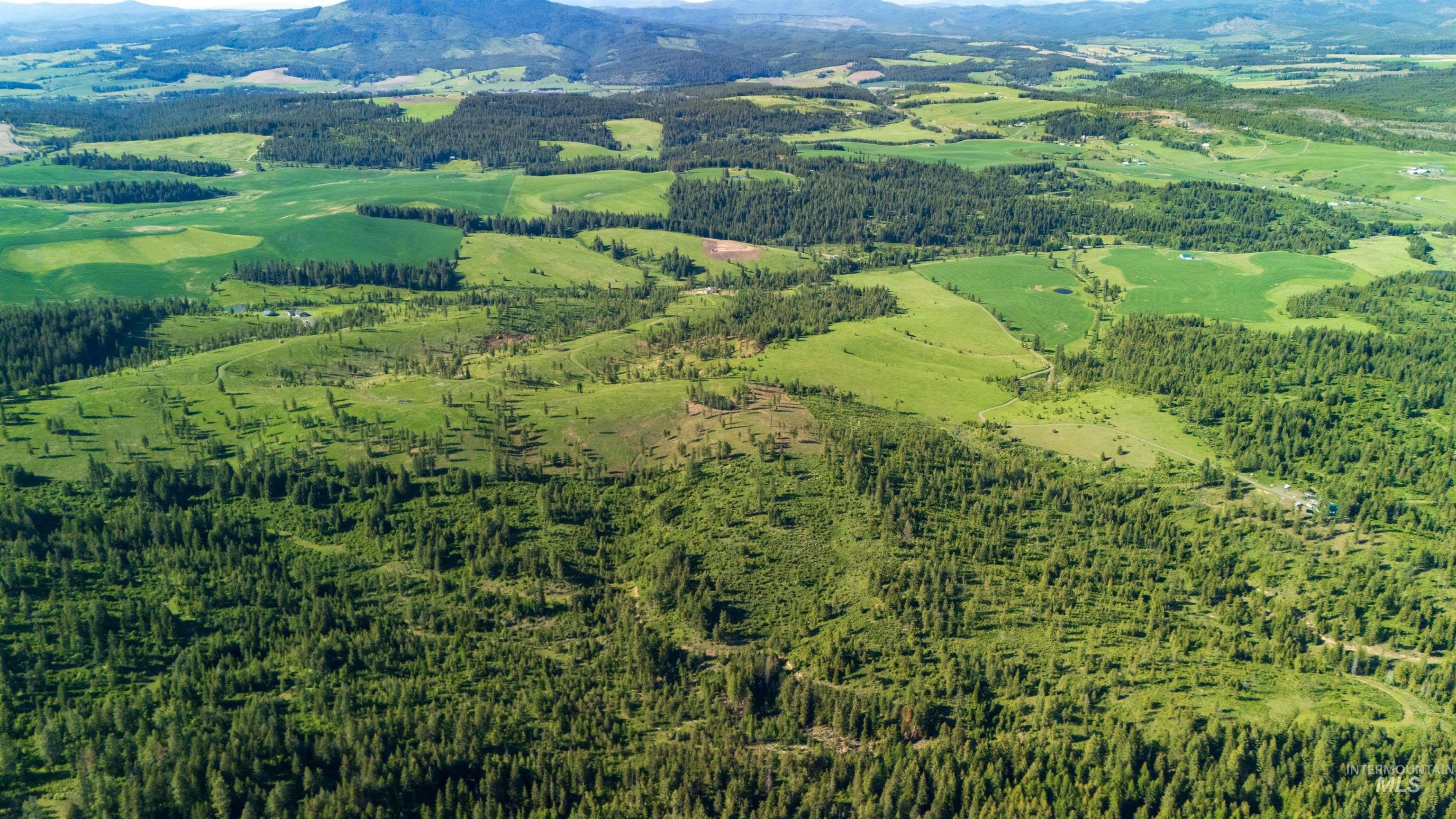 1 Starview Lane Princeton, ID 83857 - Photo 21 of 29