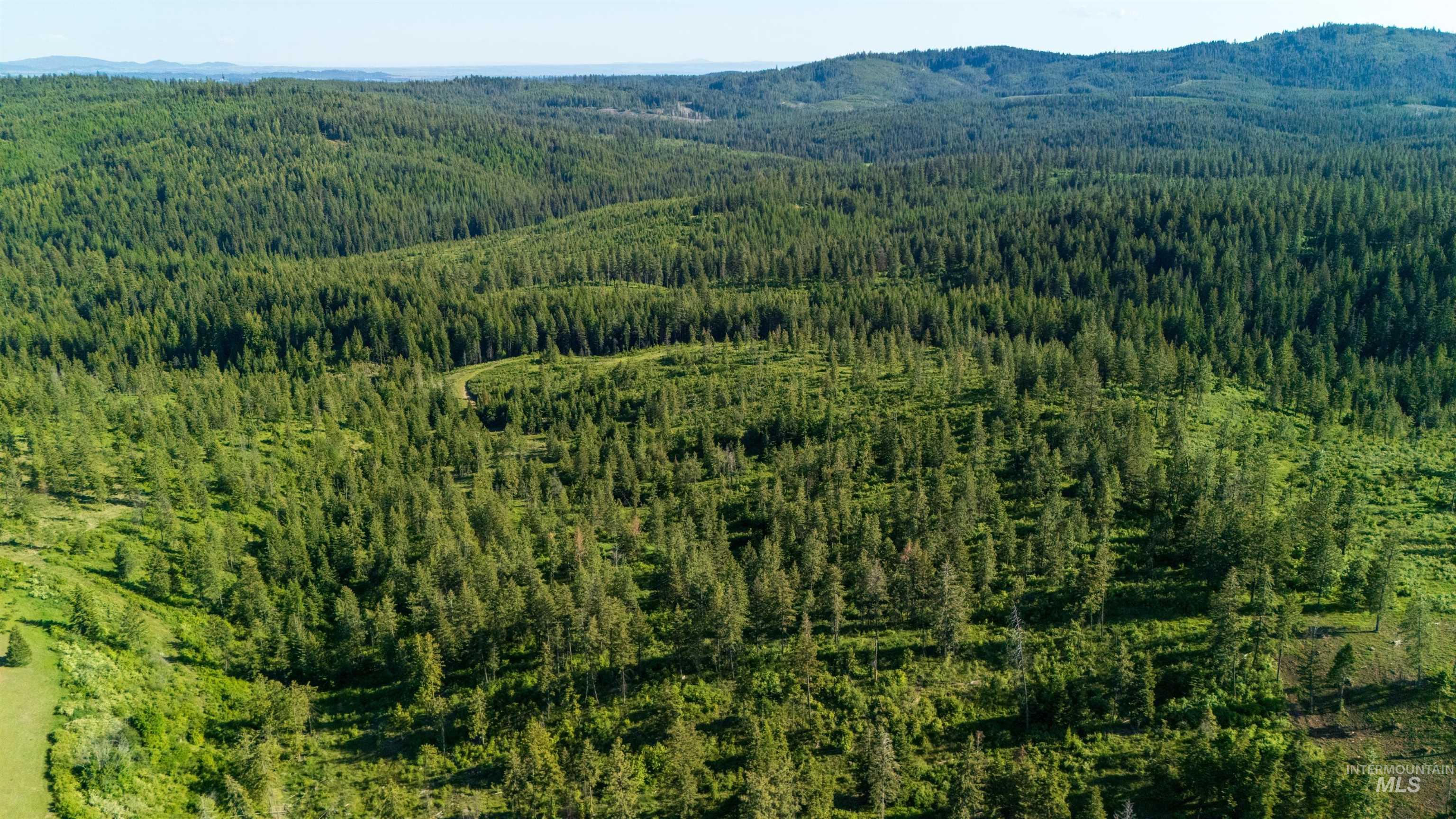 1 Starview Lane Princeton, ID 83857 - Photo 22 of 29