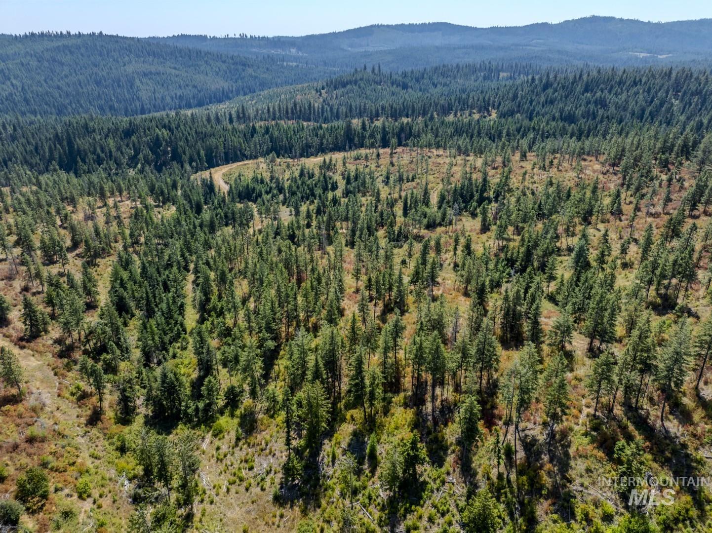 1 Starview Lane Princeton, ID 83857 - Photo 25 of 29