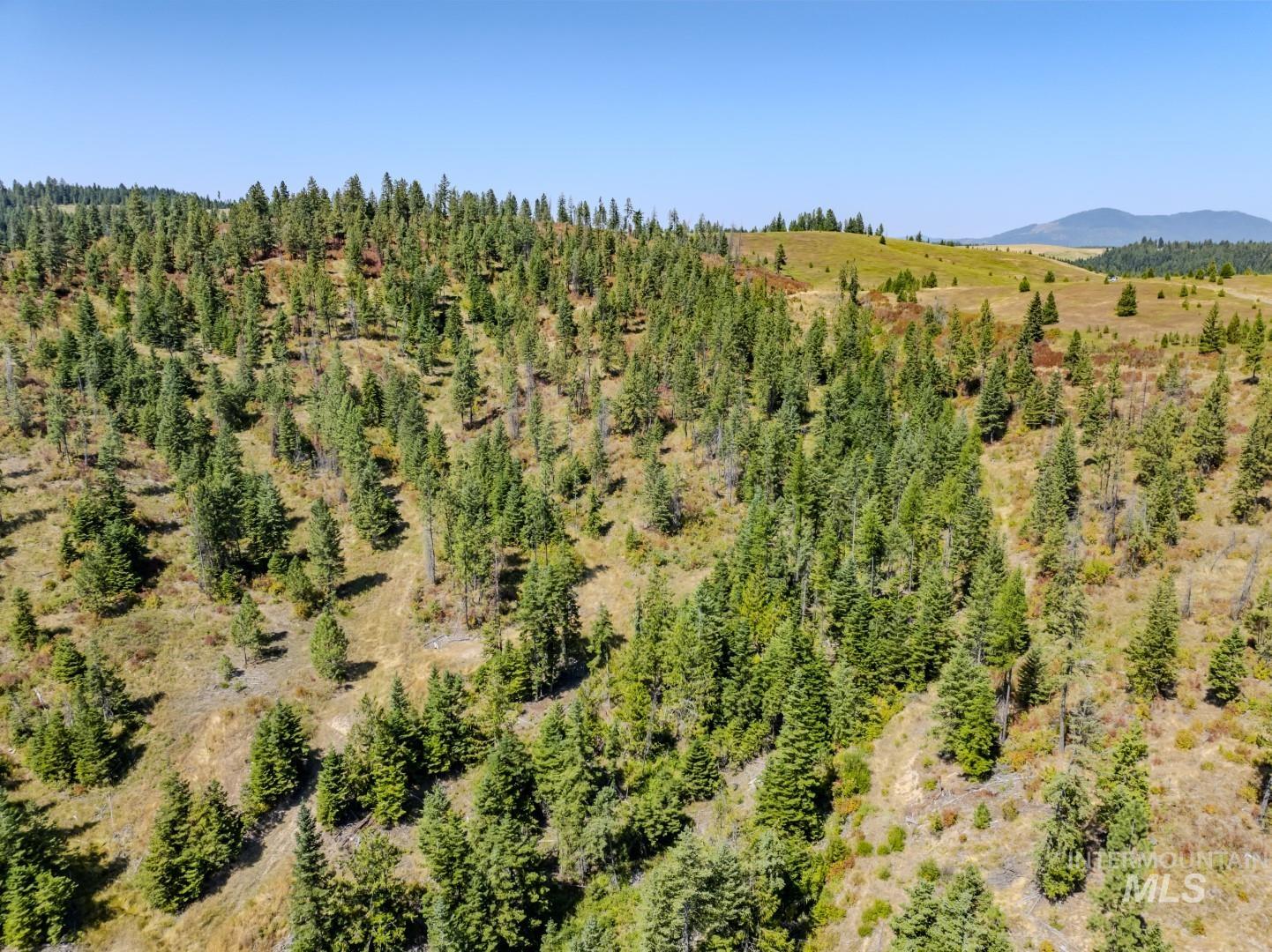 1 Starview Lane Princeton, ID 83857 - Photo 4 of 29