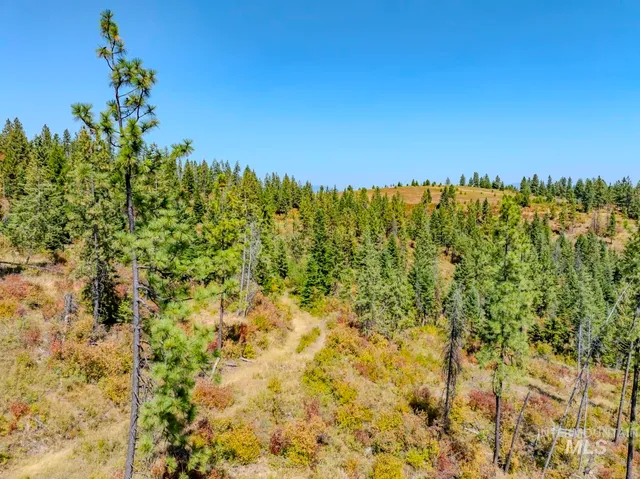 $219,000 | 1 Starview Lane, Princeton, ID 83857