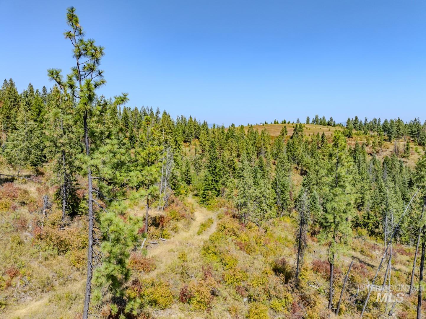 1 Starview Lane Princeton, ID 83857 - Photo 6 of 29