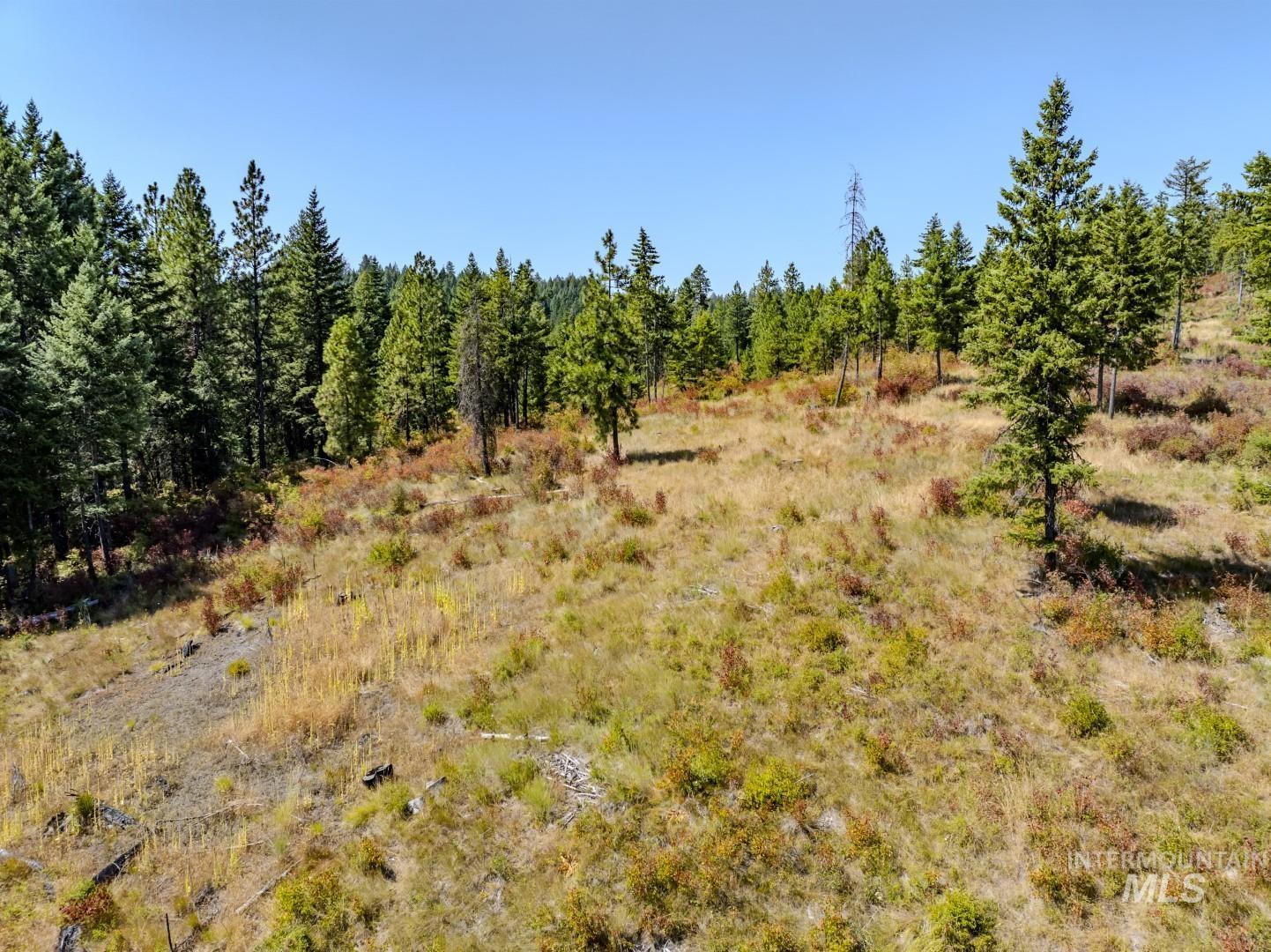 1 Starview Lane Princeton, ID 83857 - Photo 7 of 29