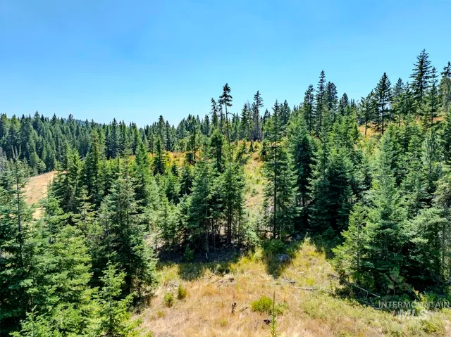 $219,000 | 1 Starview Lane, Princeton, ID 83857