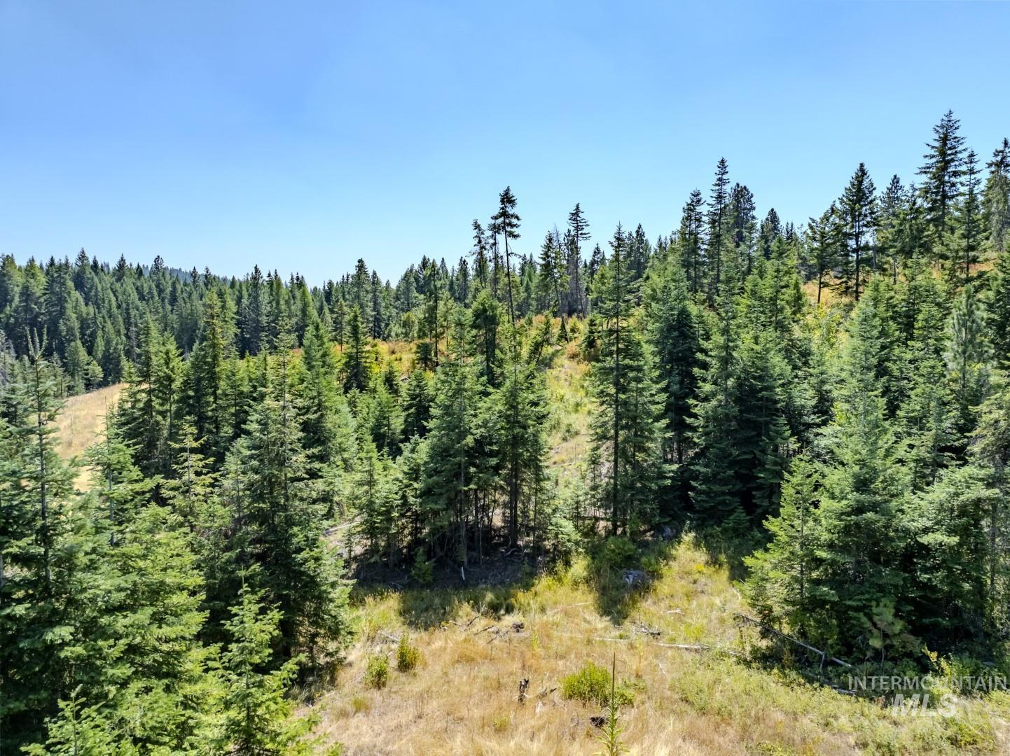 1 Starview Lane Princeton, ID 83857 - Photo 9 of 29