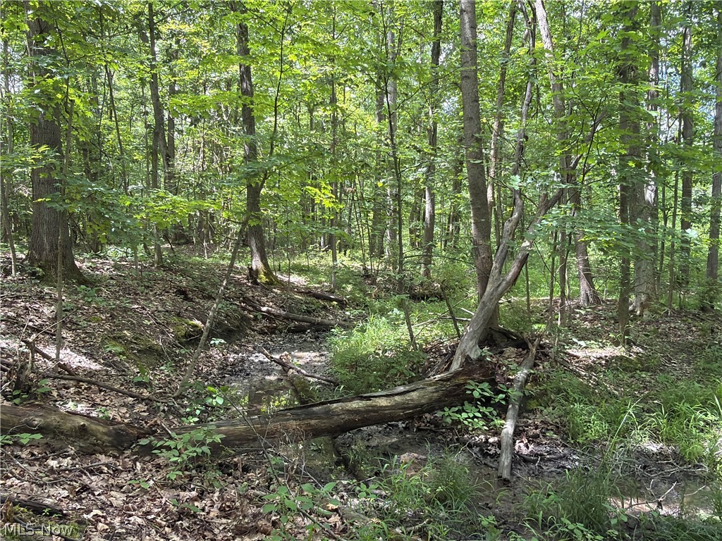 Crosby Cook Road Rome, OH 44085 - Photo 22 of 48 Wooded property featuring mature trees and natural ground cover