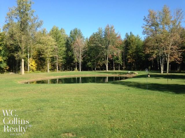 8732 Lashbrook Road Goodells, MI 48027 - Photo 17 of 74