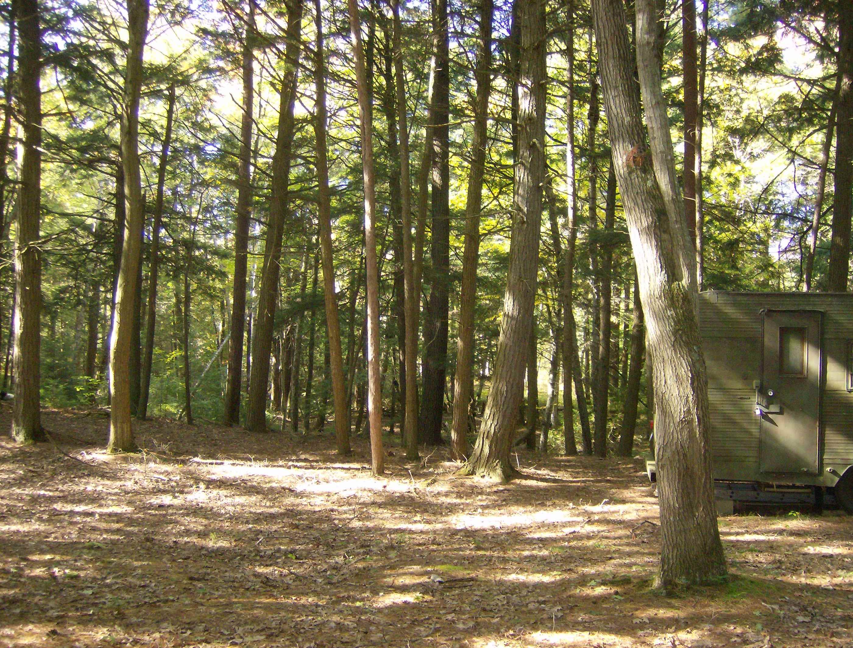 0 West Ausable Point Road, Unit LOT: 5 Oscoda, MI 48750 - Photo 7 of 18