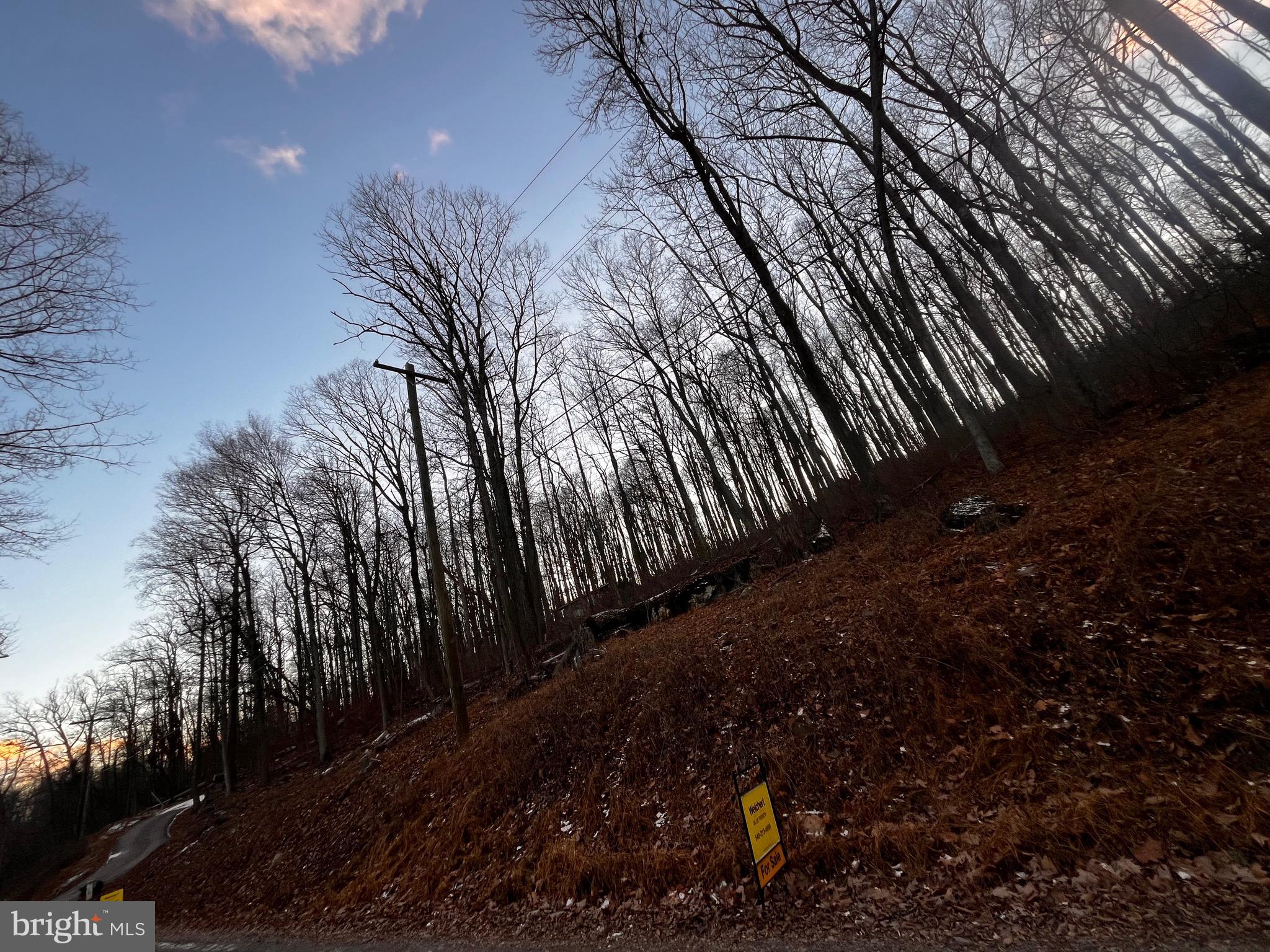 218 High Top Road Linden, VA 22642 - Photo 2 of 5