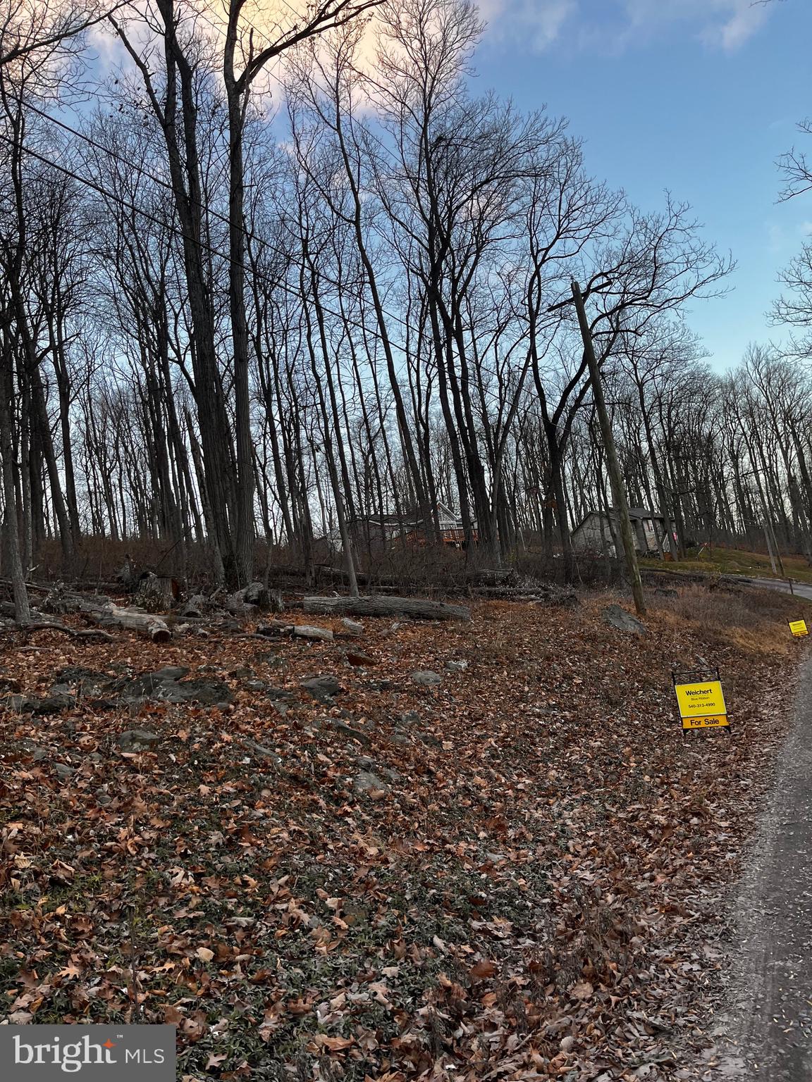 218 High Top Road Linden, VA 22642 - Photo 4 of 5